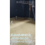 嘉義縣大埔美園區-新建廠房浴室防水工程(完成)-麗君室內裝修設計工程有限公司