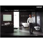 凱撒簡介情境圖