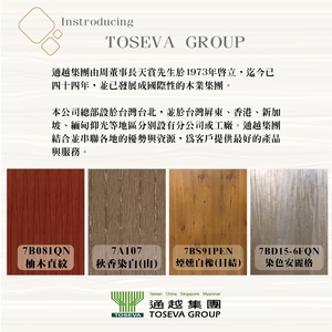 公司簡述 , 通越有限公司