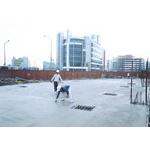 整體粉光 - 一虢有限公司