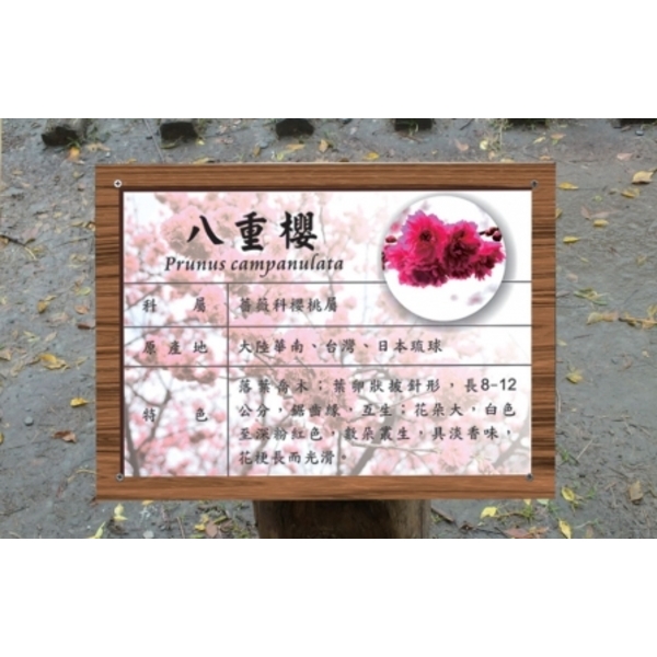 公園植物標示牌,靚彩數位彩繪有限公司