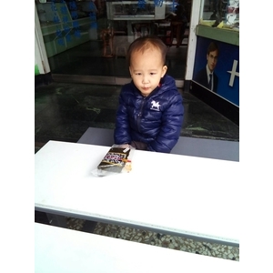 無障礙桌椅 , 通好行