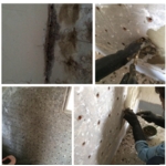 壁癌處理 - 謙丞工程有限公司