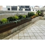 園藝工程 - 鼎蘆園藝工程行