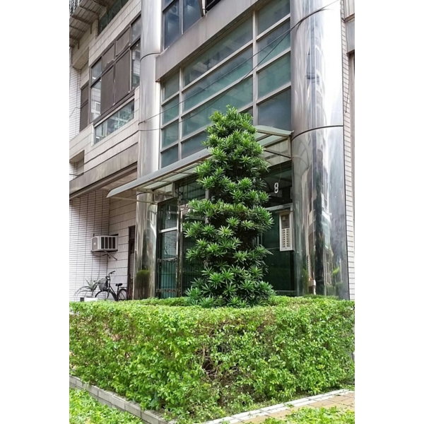 植栽修剪,鼎蘆園藝工程行