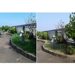 清除雜草 - 鼎蘆園藝工程行