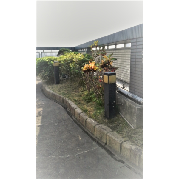 清除雜草-鼎蘆園藝工程行