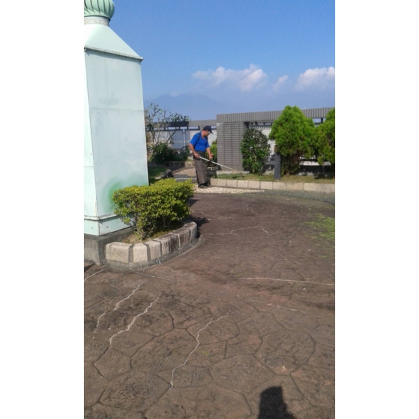 清除雜草-鼎蘆園藝工程行