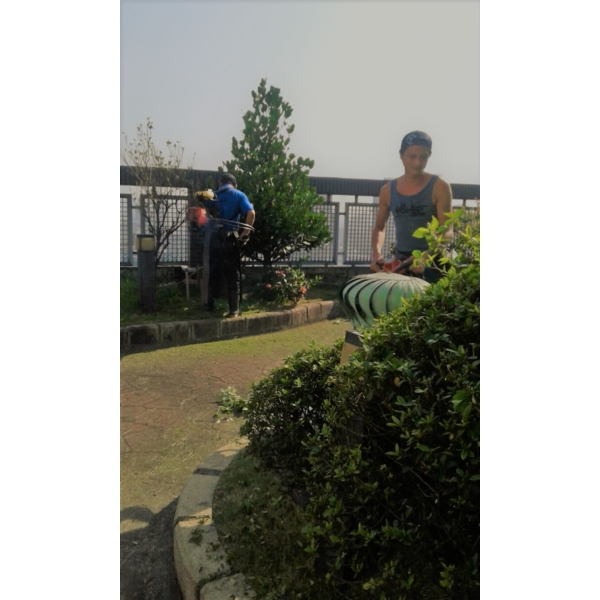 清除雜草-鼎蘆園藝工程行