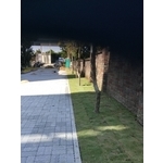 園藝工程04 - 鼎蘆園藝工程行