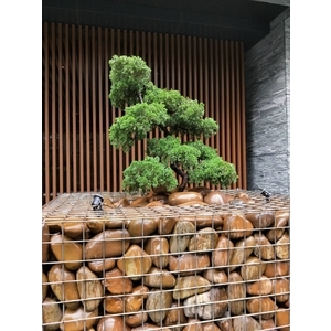 園藝工程07 - 鼎蘆園藝工程行