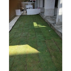 園藝工程08 - 鼎蘆園藝工程行