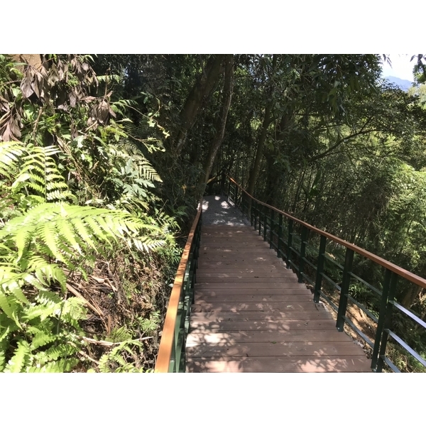 欄杆-皓揚企業社