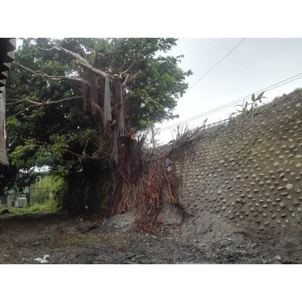 彰化縣大村煙囪拆除