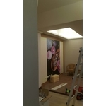 天花板 - 龍鋌工程行