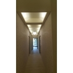 天花板 - 龍鋌工程行