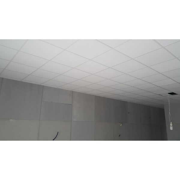 明架天花板,龍鋌工程行