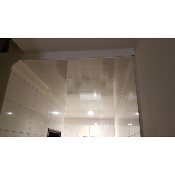 浴廁塑膠暗架天花板 浴廁塑膠暗架天花板,龍鋌工程行