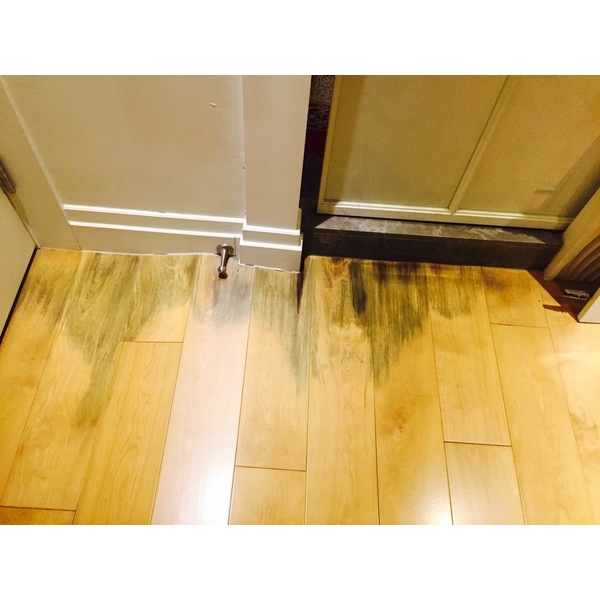 浴室止水墩 浴室止水墩,得意防水工程行