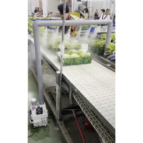 水果、蔬菜消毒