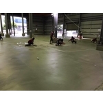 座騎式鏡面整體粉光 - 砳鼎工程有限公司