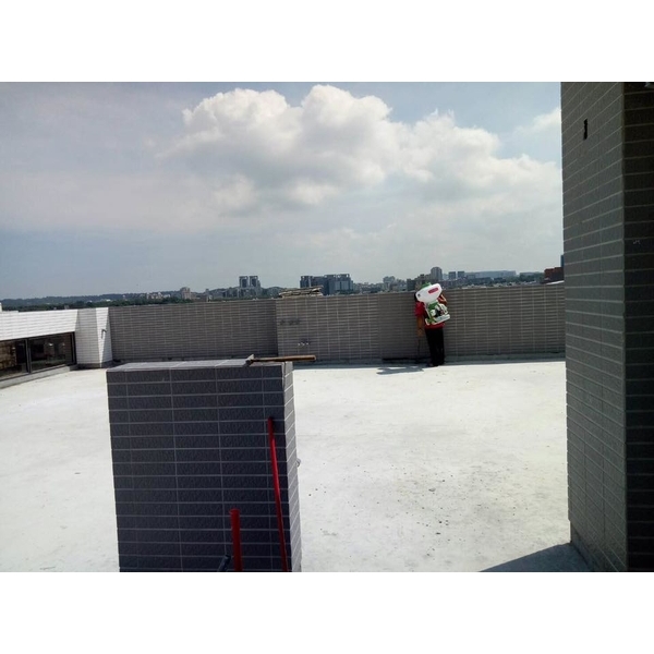 PU工程施工研磨清地 PU工程施工研磨清地,砳鼎工程有限公司