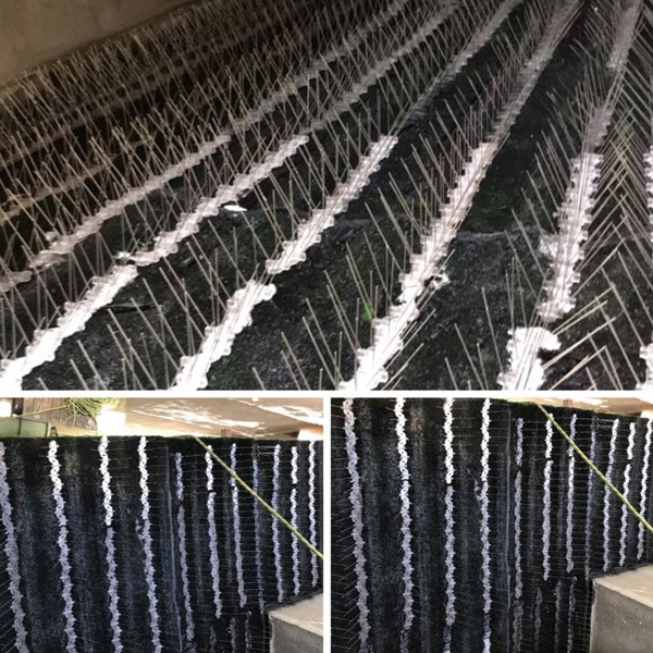 防鳥刺安裝