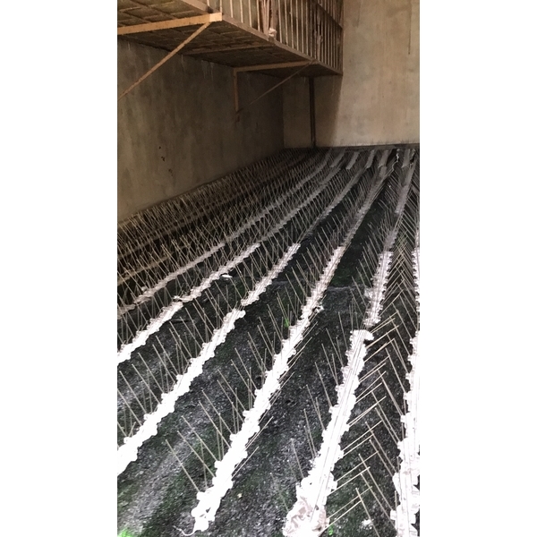 防鳥刺安裝