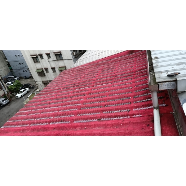防鳥刺安裝