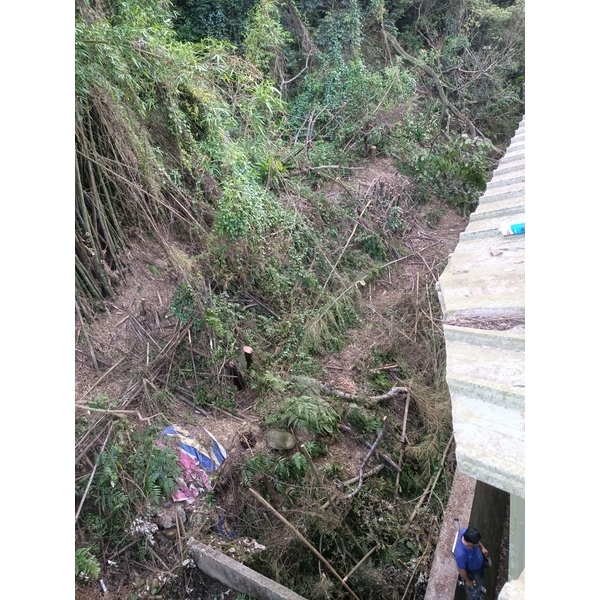 砍樹施工後-藝潔事業有限公司