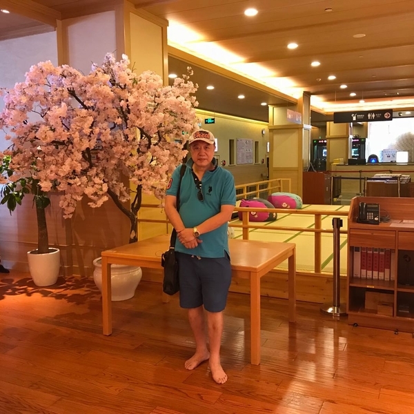 上海極樂湯-木材店面