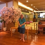 上海極樂湯-木材店面 - 喜之木貿易有限公司