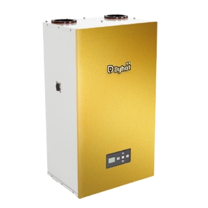 即熱式瓦斯熱水器 , 新碩水電有限公司