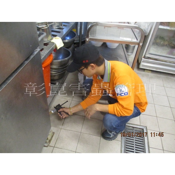 德國蟑螂防治,彰崑環境工程有限公司