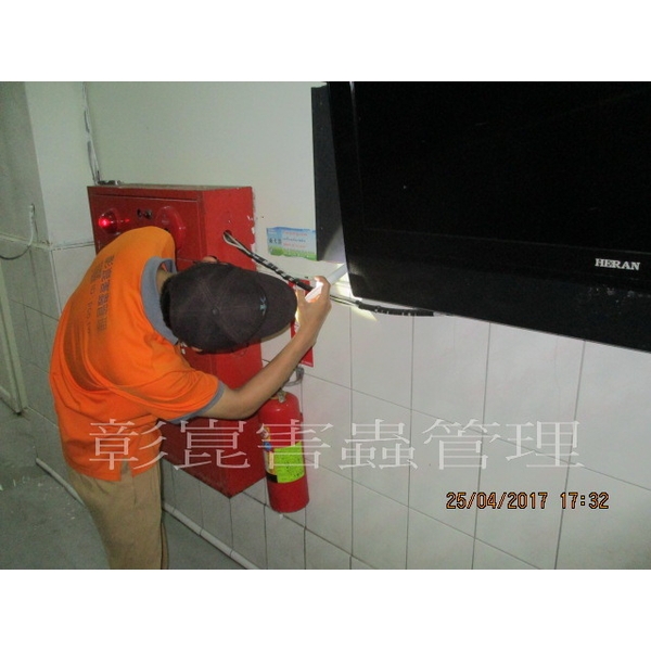 德國蟑螂防治,彰崑環境工程有限公司