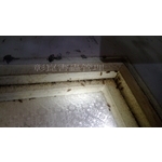 德國蟑螂防治前 - 彰崑環境工程有限公司