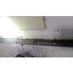 德國蟑螂防治前 - 彰崑環境工程有限公司