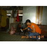 除鼠工程 - 彰崑環境工程有限公司