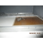 除鼠工程 - 彰崑環境工程有限公司