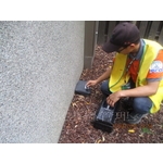 除鼠工程 - 彰崑環境工程有限公司