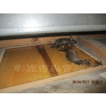 滅鼠工程 - 彰崑環境工程有限公司
