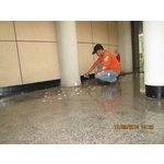 滅鼠工程 - 彰崑環境工程有限公司