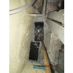 滅鼠工程 - 彰崑環境工程有限公司