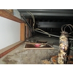 滅鼠工程 - 彰崑環境工程有限公司