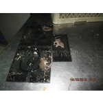 滅鼠工程 - 彰崑環境工程有限公司