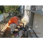 滅鼠工程 - 彰崑環境工程有限公司