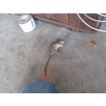 滅鼠工程 - 彰崑環境工程有限公司