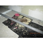 滅鼠工程 - 彰崑環境工程有限公司