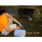 滅鼠工程 - 彰崑環境工程有限公司