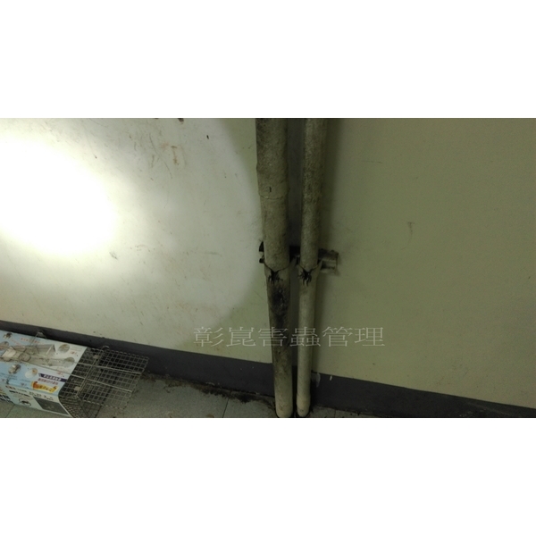 老鼠嚓跡 老鼠嚓跡,彰崑環境工程有限公司